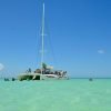 Experience Saona Island from Punta Cana - Afbeelding 8