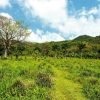Punta Cana: Anamaya Mountains Walking Tour with Tasting – Bild 2
