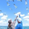 Saona Island: Incredible day With buffet from Punta Cana – Image 9