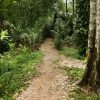 3in1: Los Haitises N P + Yanigua Waterfall + Montaña Redonda - Afbeelding 11