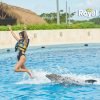 Punta Cana: Swim with Dolphins in the Pool – Image 2