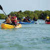 Los Haitises Kayak & Caño Hondo Pools – Group Tour From Miches - Image 3