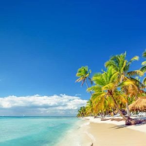 Bayahibe: Celodenní výlet na ostrov Saona