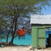 Bahía de las Aguilas: Beach Day Trip by Boat - Image 2