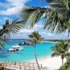 Punta Cana: Saona Island + Catamaran Party (Full Day) - Image 2