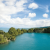 Whale Watching + Cayo Levantado – Image 3