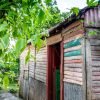 Higuey: Full-Day Tour with River Boat, Lunch, & Voodoo Show – Image 11