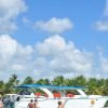 Punta Cana: Saona Island All-Inclusive Day Trip - Image 12