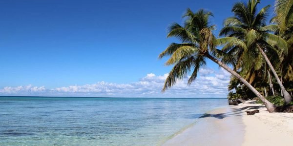 Punta Cana: Katamaranboot zur Insel Saona mit Mittagsbuffet