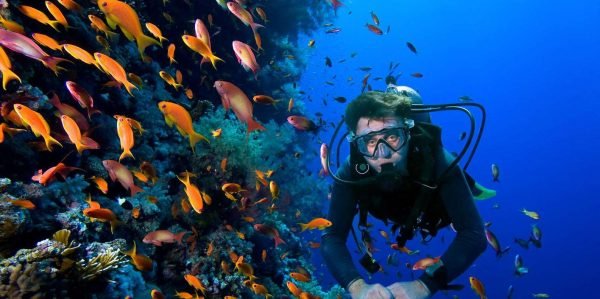 Plongée sous-marine à Sosua Cabarete