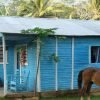 Punta Cana: Full Day Excursions Samana Island Bacardi - immagine 4