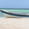 Bahía de las Aguilas: Beach Day Trip by Boat - Image 3