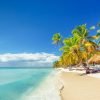 Dominican Republic: Saona Island Holiday - Afbeelding 9