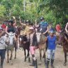 Punta Cana: Samana Cayo Levantado / Visit to the whale – Image 3