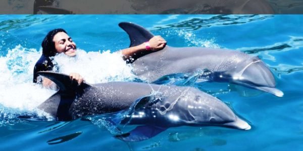 VIP zwemmen met dolfijnen bij Ocean World Puerto Plata