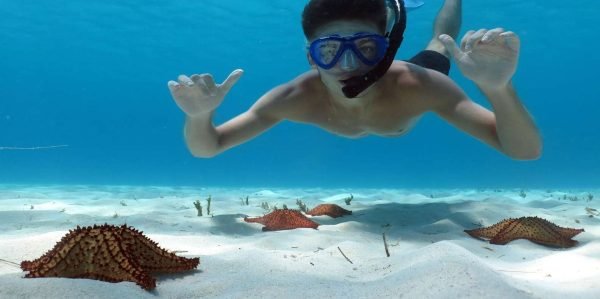 Excursão à Ilha Saona a partir de Punta Cana