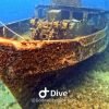 Bayahibe: Snorkeling Tour - Sea, Cotubanama park & Cenotes - immagine 4