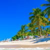 Punta Cana: Full Day Excursions Samana Island Bacardi - immagine 7
