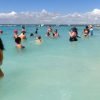 diving without a license catalina island from punta cana – Image 4