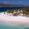 Whale Watching + Cayo Levantado – Image 7