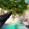 Whale Watching + Cayo Levantado Freedom – Image 7
