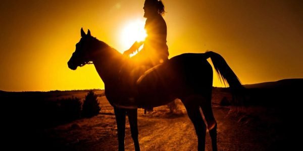 Punta Cana: Passeio a cavalo ao pôr do sol na praia e floresta de Macau