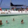 Saona Island Excursion from Punta Cana - Image 4