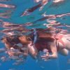 Sosua Sunset party boat And Snorkeling - Afbeelding 4