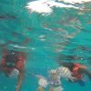 Punta Cana: Speedboat and Snorkeling Adventure – Image 6