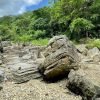 Dominican Culture Immersion: All Inclusive Day Trip - Image 5