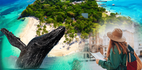 Observation des baleines + Cayo Levantado