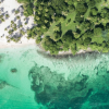 Whale Watching + Cayo Levantado Freedom – Image 13