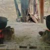 Dominican Culture Immersion: All Inclusive Day Trip - Image 6