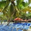 Saona Island Excursion from Punta Cana - Image 7