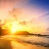 Punta Cana: Sunset Horseback Ride in Macao Beach and Forest - Image 8