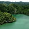 Los Haitises: Boat Excursion and Walking Tour with Lunch - Image 8