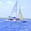 Punta Cana: Saona Island and Altos de Chavón Day Trip - Image 8