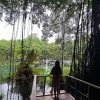 Fantastic Adventure to Hidden Waterfall and Historical Cave - Image 9