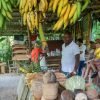 From Punta Cana: Los Haitises and Redonda Mountain Day Trip - immagine 2