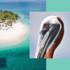 Whale Watching and Cayo Levantado Tour: A Perfect Tropical Getaway - Image 2