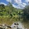 Salto de la Jalda – Horseback & Hiking Adventure From Miches - Image 9