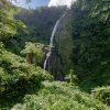 Salto de la Jalda – Horseback & Hiking Adventure From Miches - Image 10
