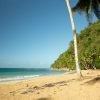 Complete Samaná Tour: Jackson Beach – Hiking, River Ride, and Snorkeling from La Majagua - Image 5