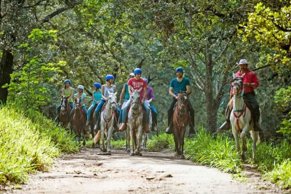 Horseback Riding Adventure to Salto Jimenoa  Jarabacoa